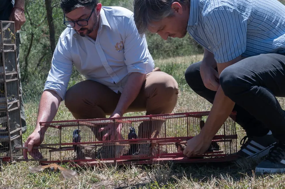 imagen_2025-11-05_201243411