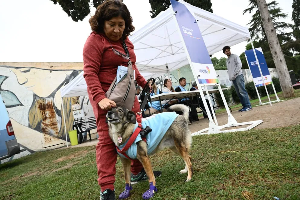 imagen_2025-05-08_090217153