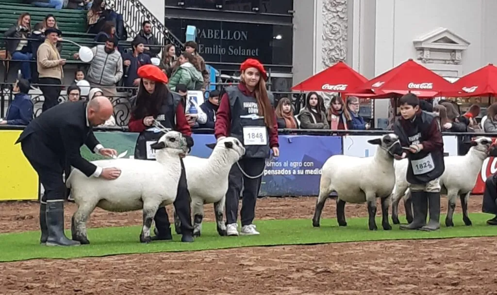 imagen_2025-08-07_204053633