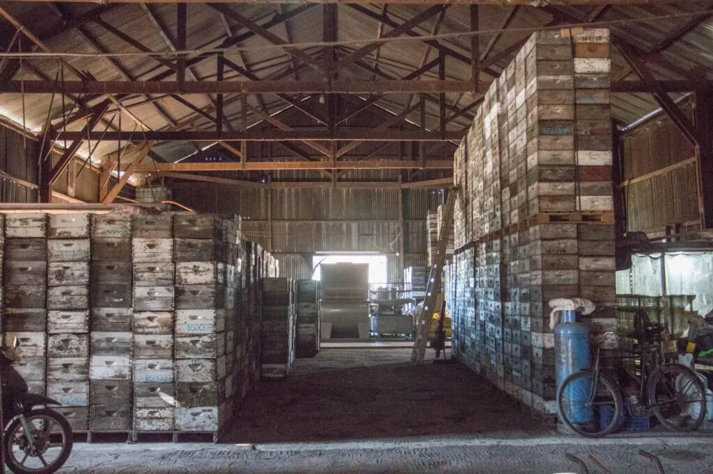 imagen_2025-07-01_173040858